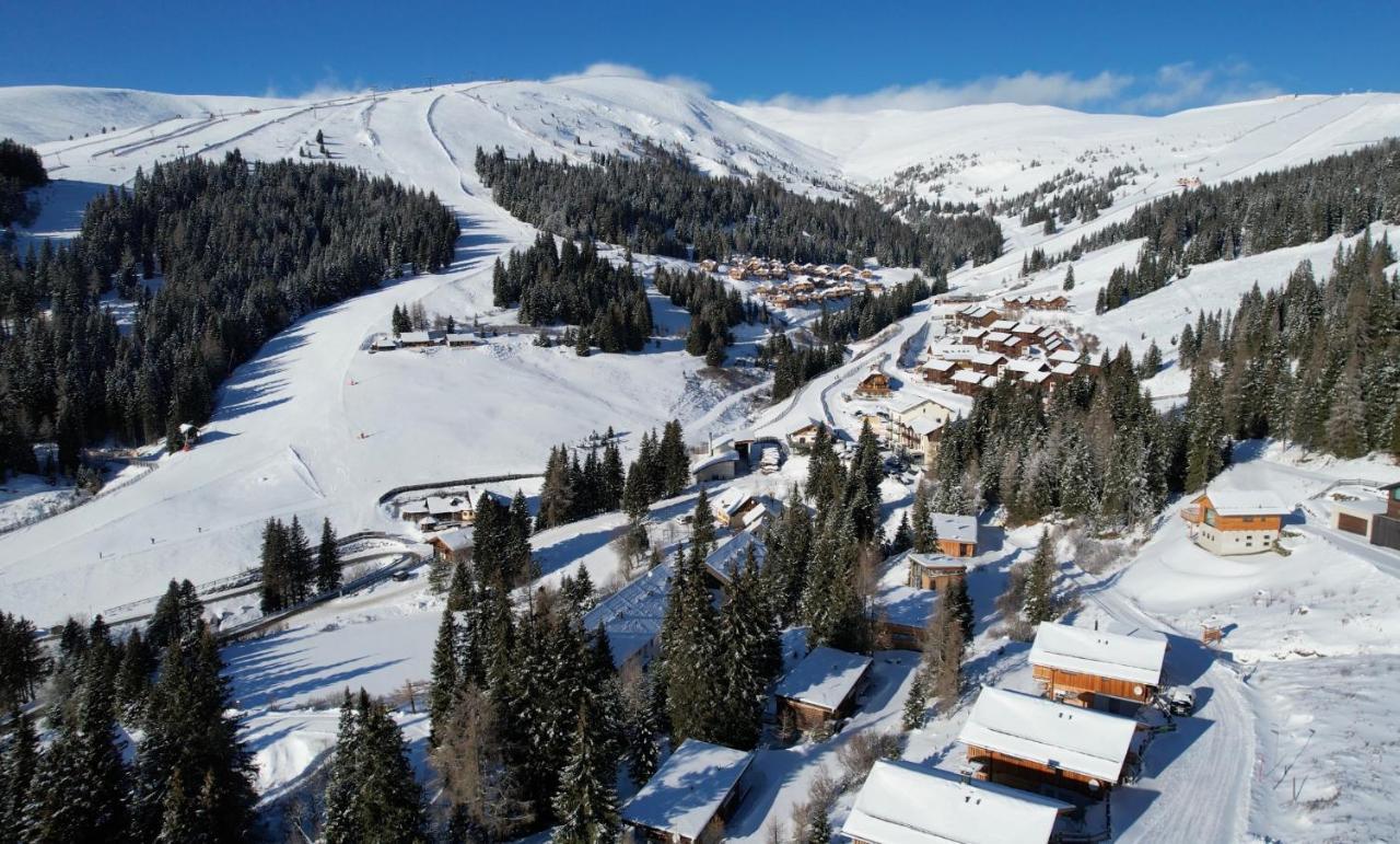 Almhaus Chalet Lachtal Oberwoelz Stadt Zewnętrze zdjęcie