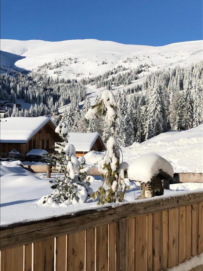 Almhaus Chalet Lachtal Oberwoelz Stadt Zewnętrze zdjęcie